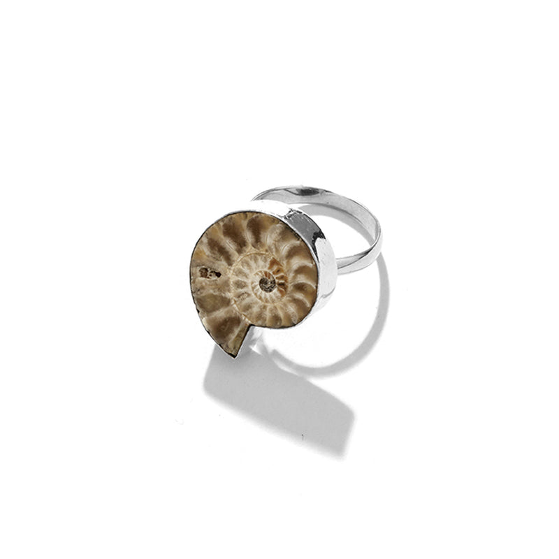 Exotic Ammonite Fossil Sterling Silver Ring