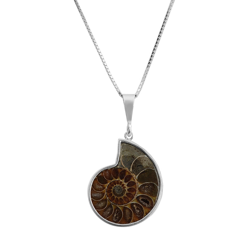 Natural Fossil Ammonite Sterling Silver Necklace - 16"-18"