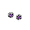 Dainty Purple Pizzazz Amethyst Sterling Silver Stud Earrings