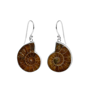 Stunning Ammonite Fossil Stone Sterling Silver Earrings