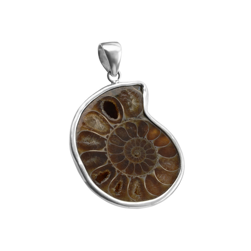 Beautiful Rich Natural Color Ammonite Fossil Sterling Silver Pendant