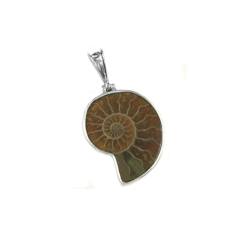 Gorgeous Natural Ammonite Fossil Sterling Silver Pendant